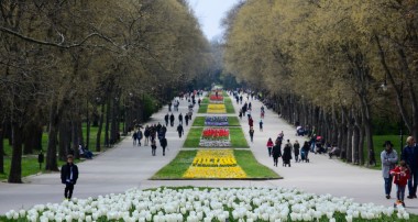 снимка от морската градина в гр.Варна