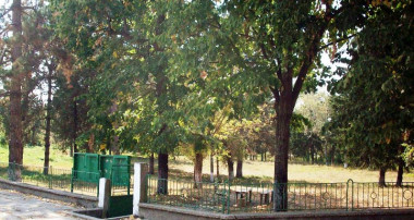 Проект по ОПДУ