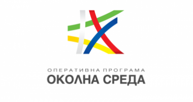 logo bg