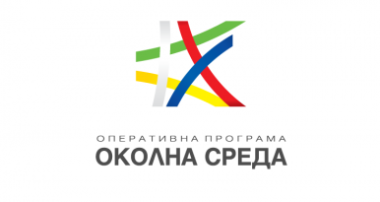 logo bg