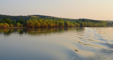 Dunav